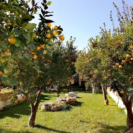 Ch בית נופש